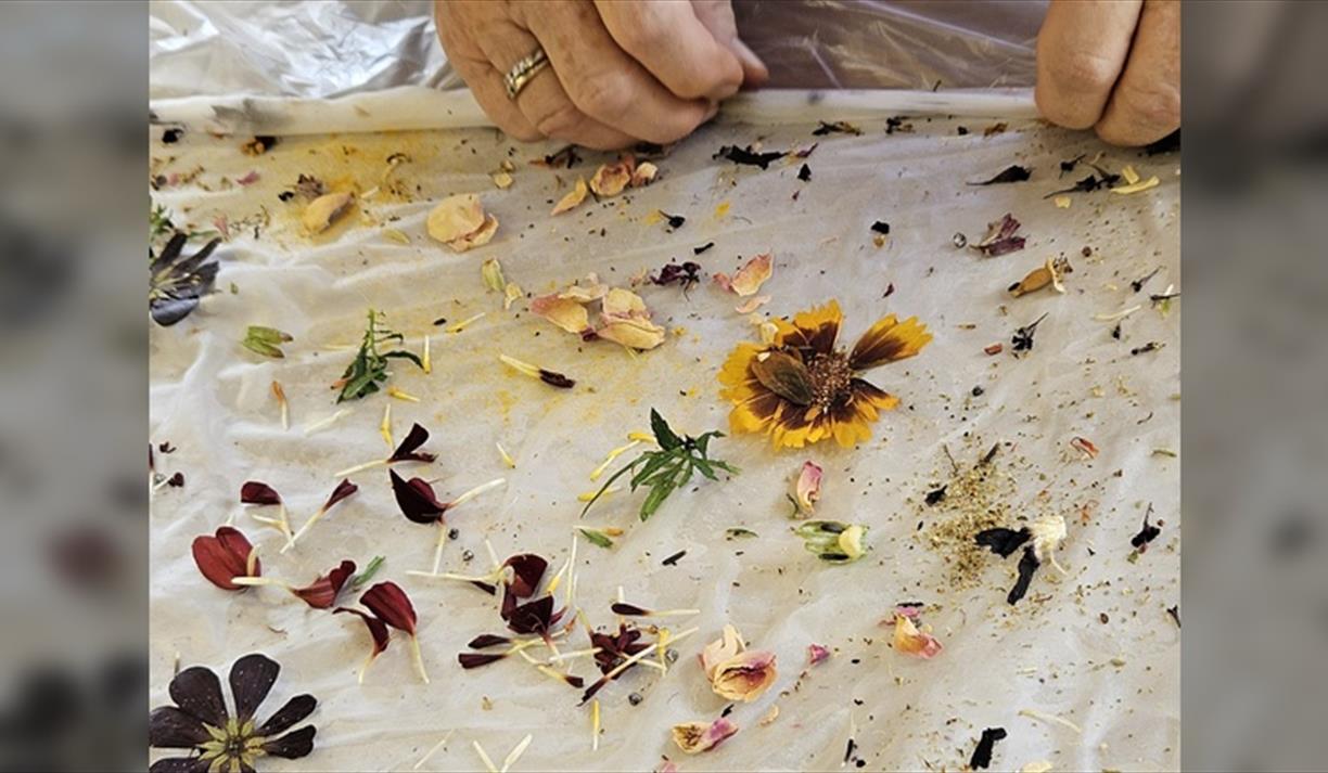 Botanical Silk Scarf Workshop: The Art of Natural Dyes