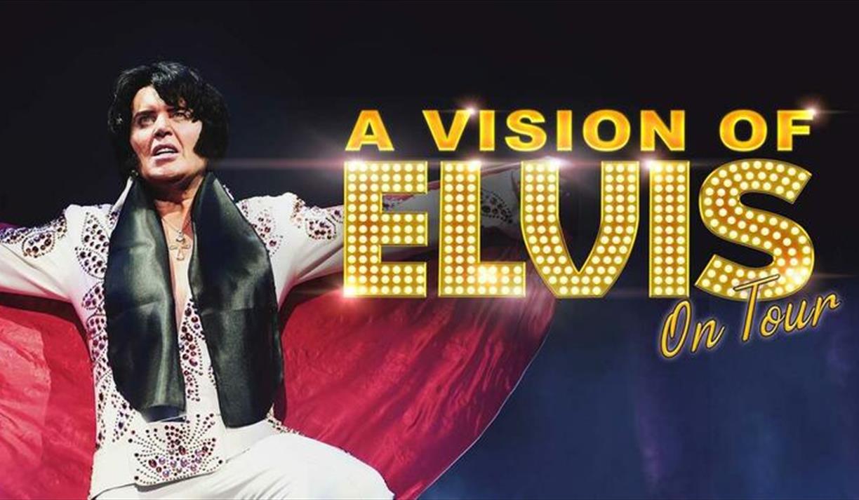 A Vision of Elvis