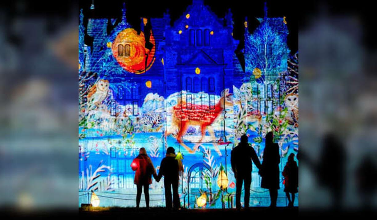 Glow Wild at Kew Wakehurst, Sussex