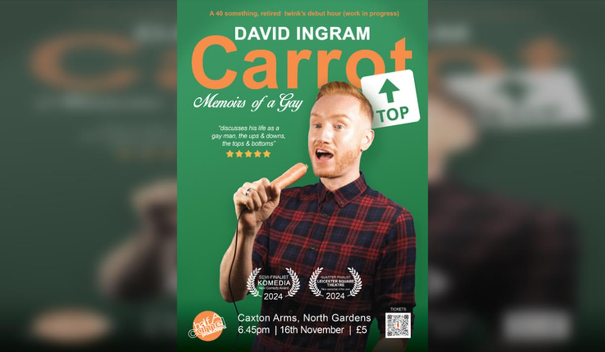 David Ingram - Carrot Top (Memoirs of a Gay)