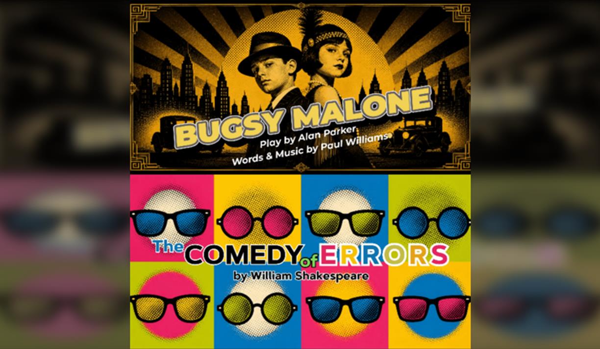 Blt Youth: The Comedy Of Errors