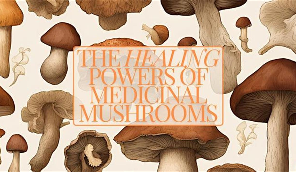 The Healing Power Of Medicinal Mushrooms