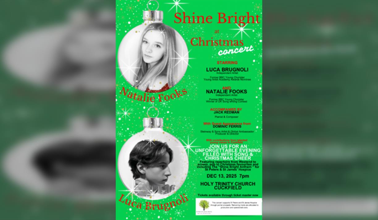 Shine Bright At Christmas