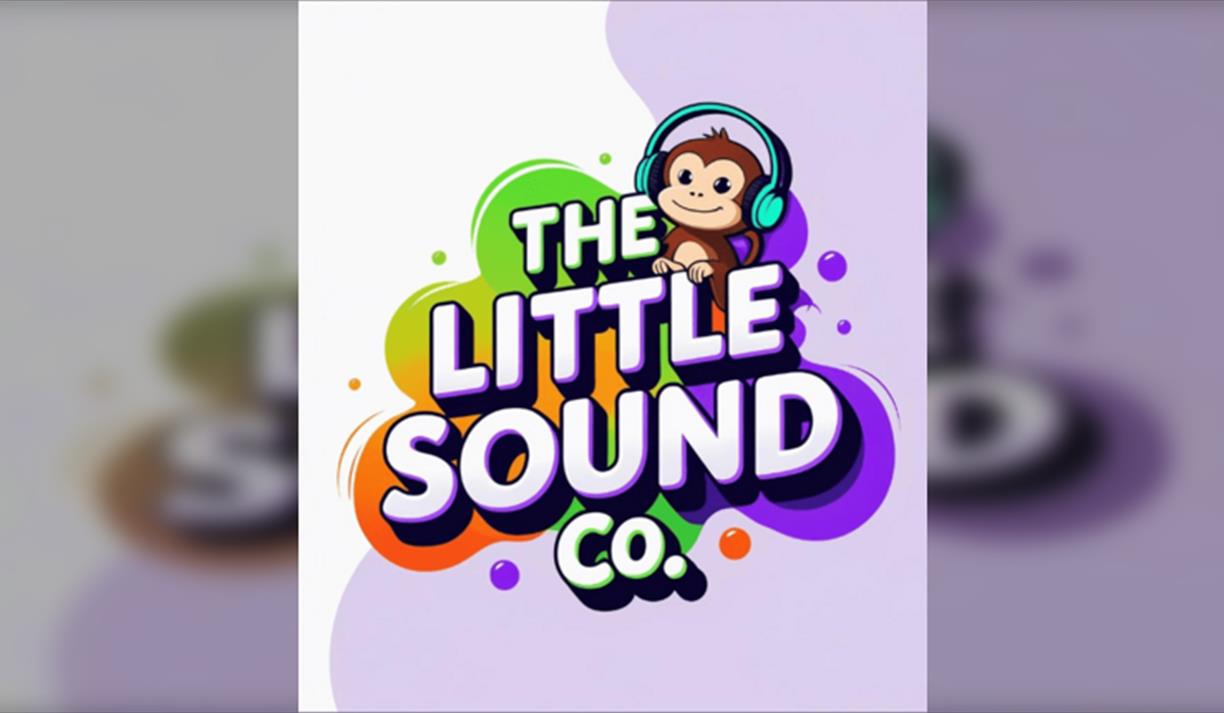 The Little Sound Company Music & Sensory Session