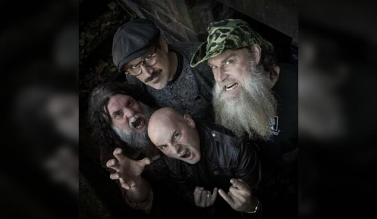 Hayseed Dixie
