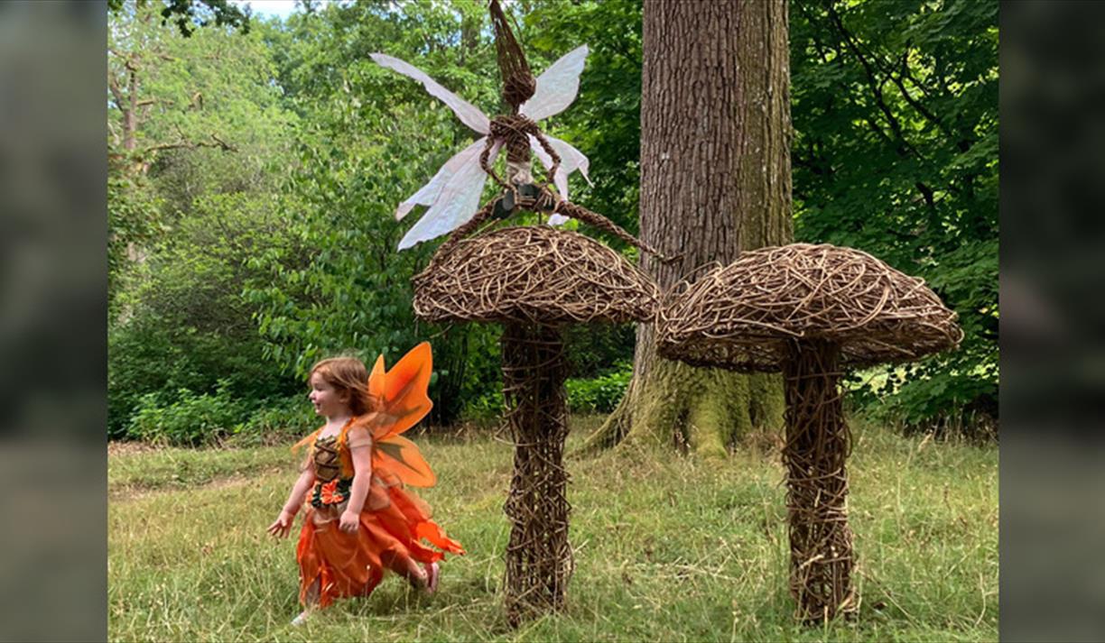 Willow Fairy and Dragon Trail
