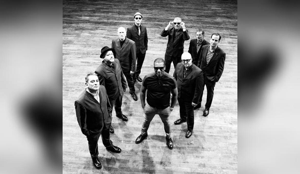 The Specials Ltd.