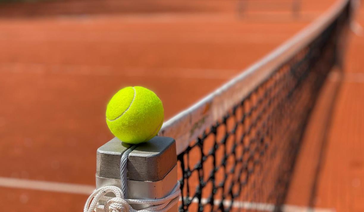 Yellow tennis ball on net