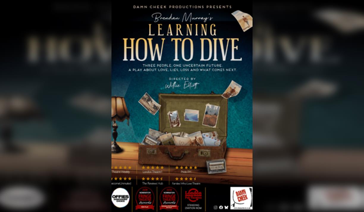 Learning How To Dive by Brendan Murray