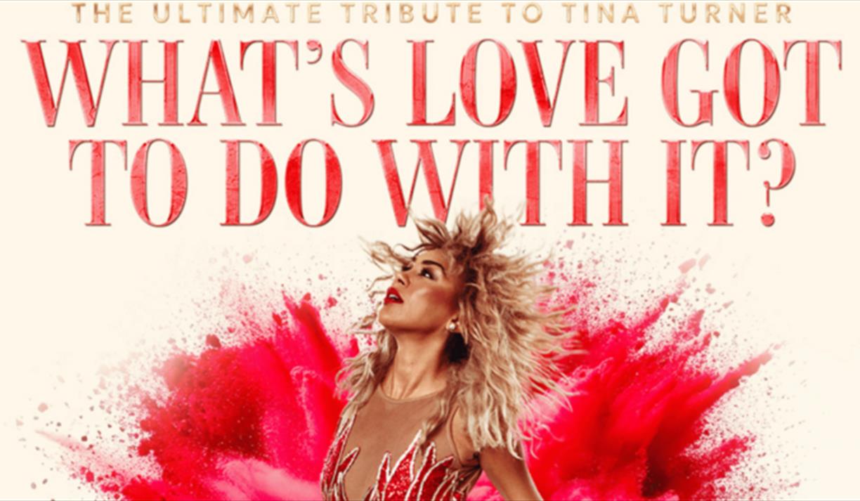 What's Love Got To Do With It?