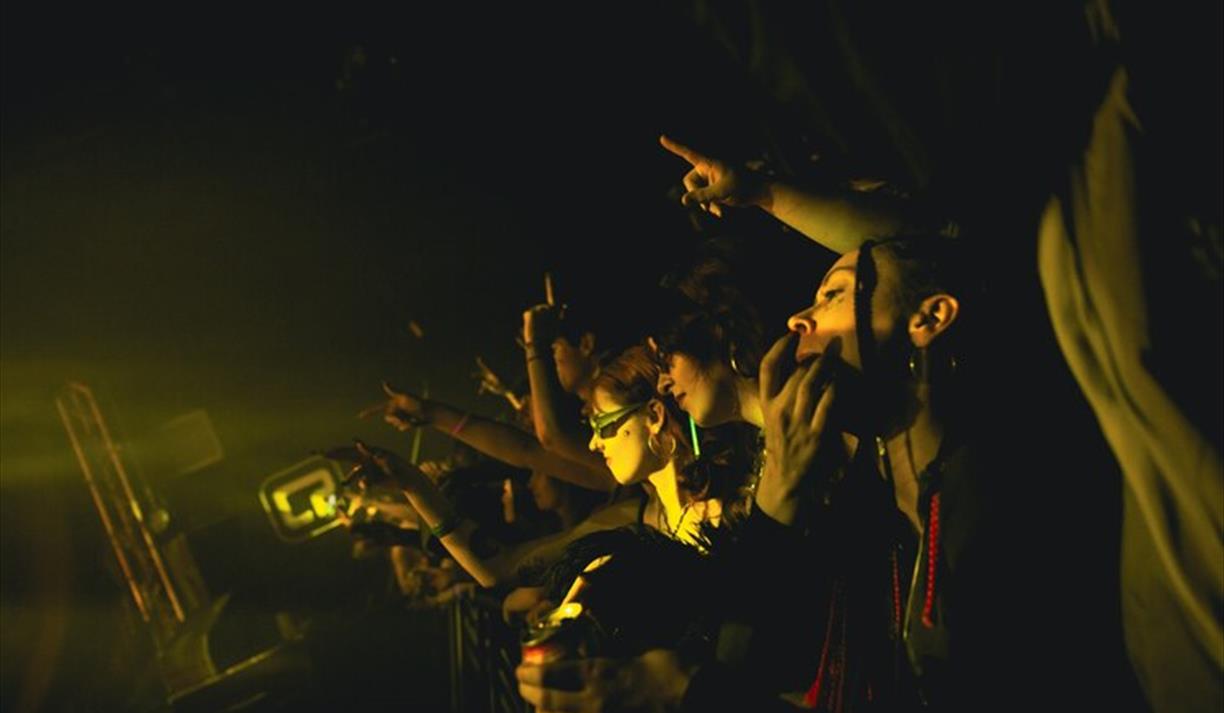 Free Rave: Subsonic, Latte & Toxinate, Tlb, and Beano