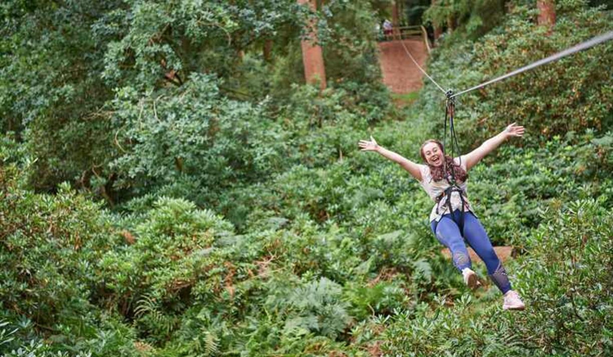 Easter Holidays at Go Ape Crawley