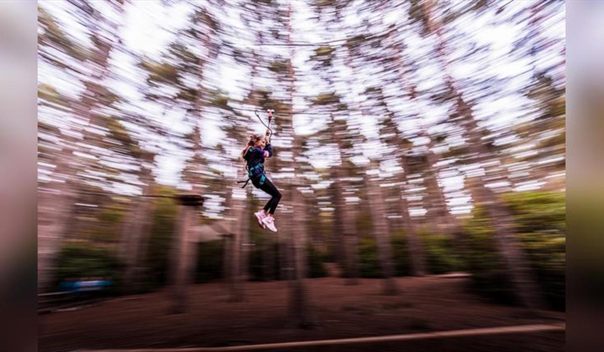 October Half Term at Go Ape Crawley