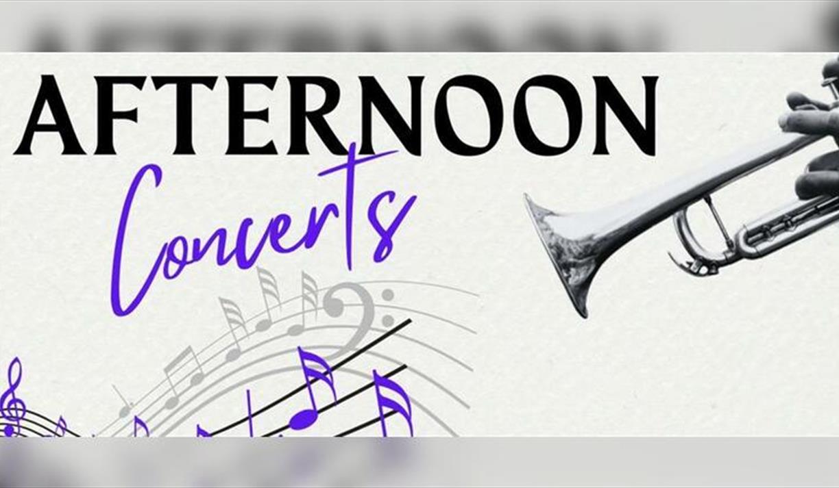 Afternoon Concert