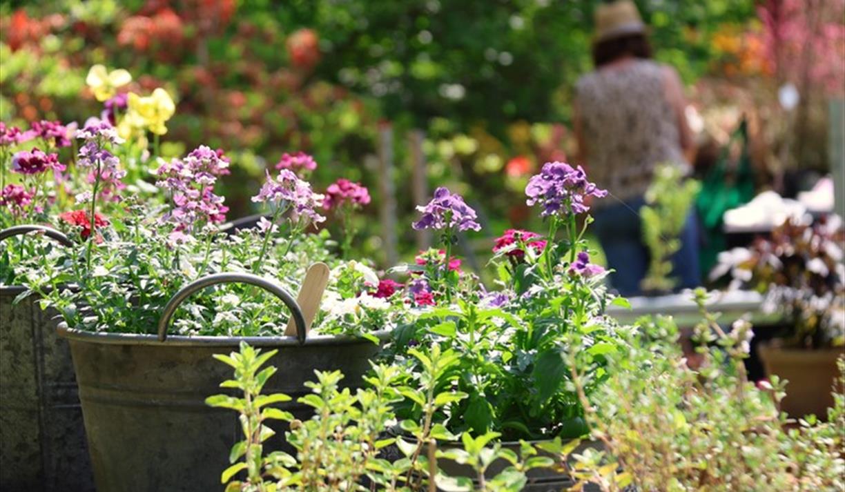 Specialist Spring Plant Fair