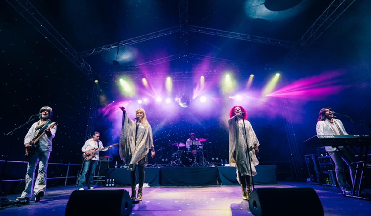 Bjorn this Way - ABBA tribute