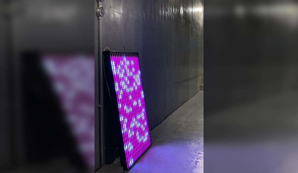 Playing with Light and Data