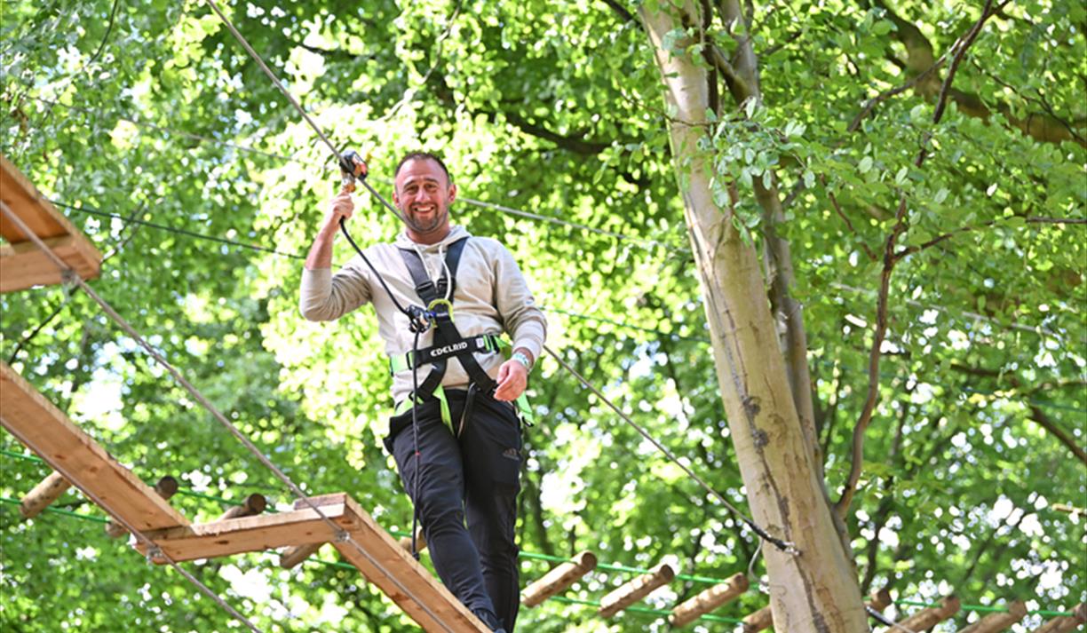 Dadventure at Go Ape Crawley