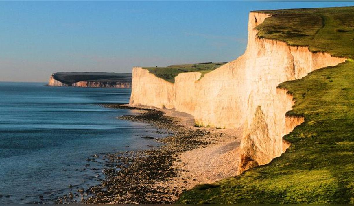 Harmonium: With Brighton Festival Chorus
