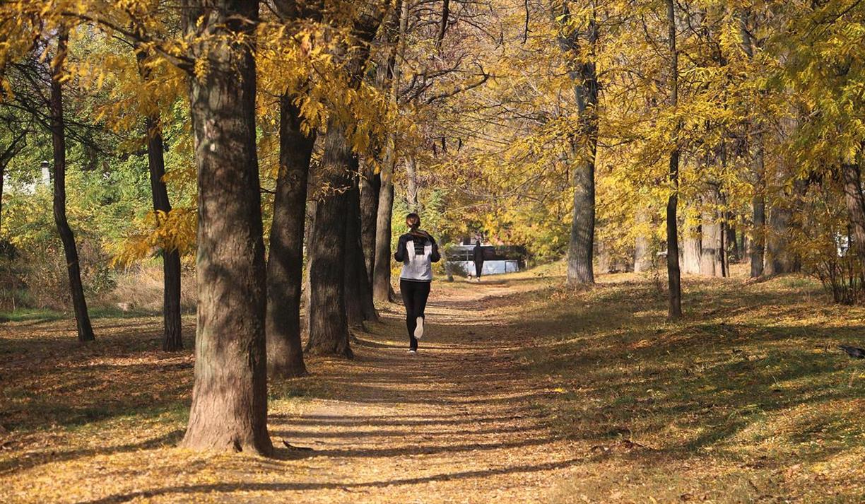 Person running in autumnal forest