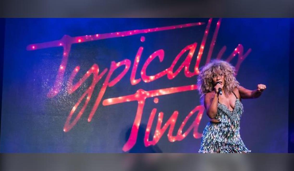 Tina Turner Tribute