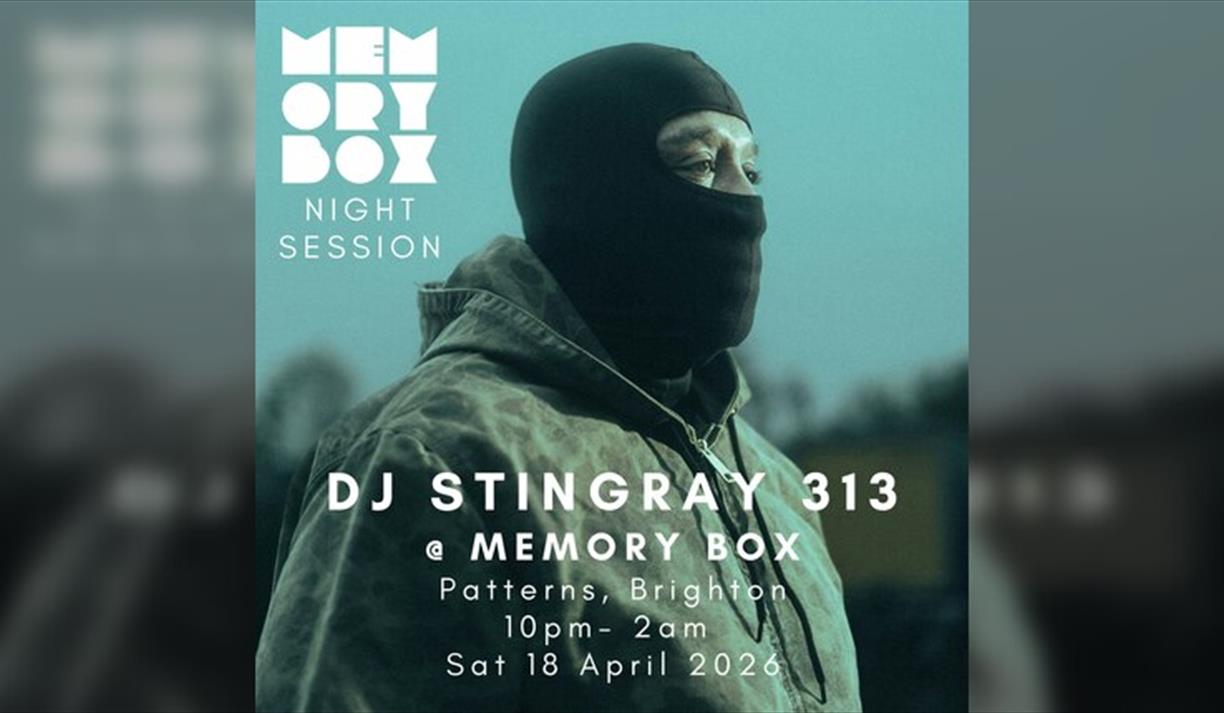 Memory Box with DJ Stingray 313