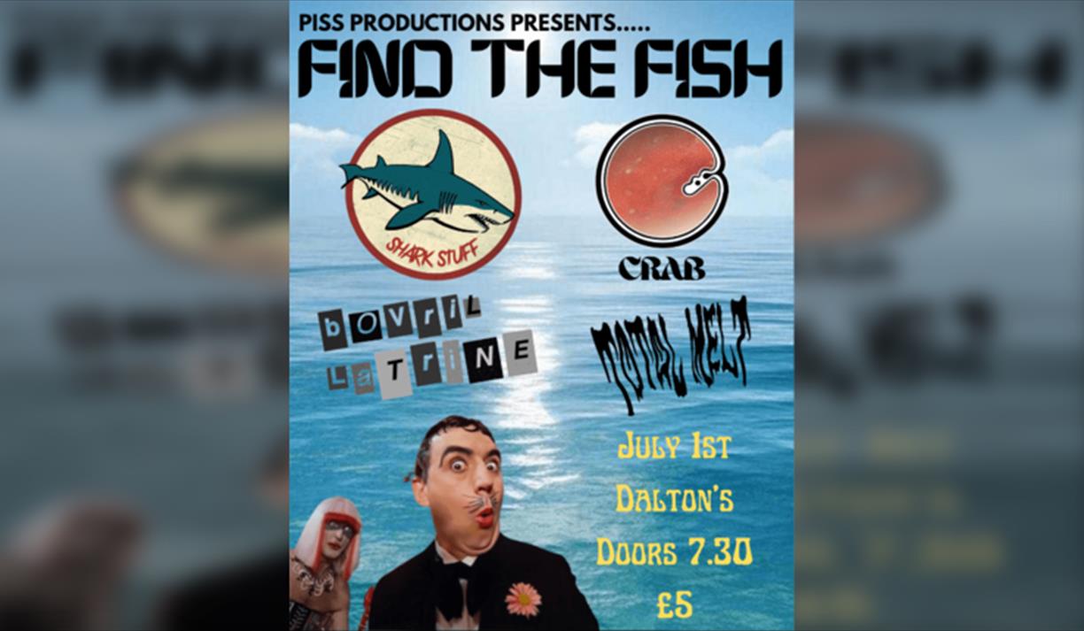 Find The Fish