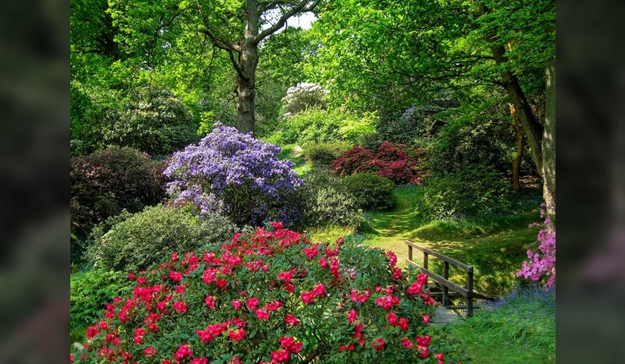 Exclusive Evening at High Beeches Woodland and Water Garden