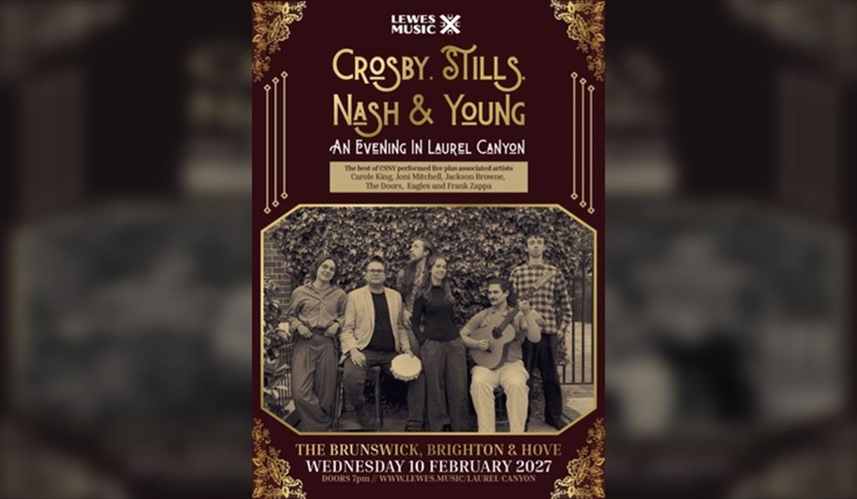 Crosby, Stills, Nash & Young: An Evening in Laurel Canyon