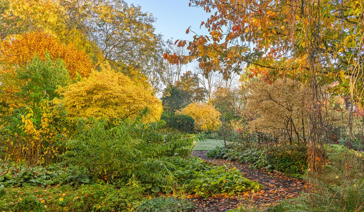 Autumn Garden Tutorial