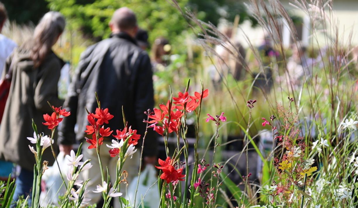Autumn Plant Fair