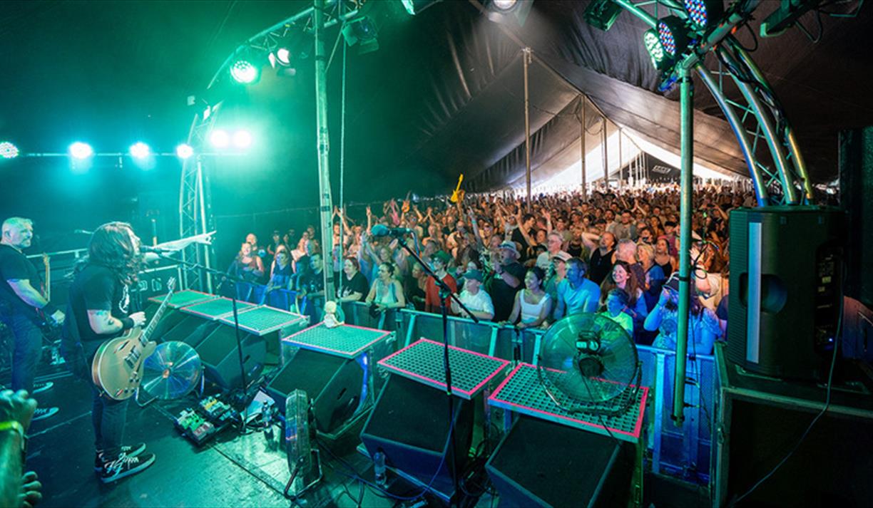 Horsham Fake Festival