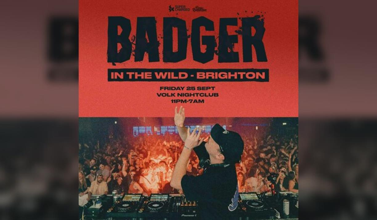 Badger In the Wild