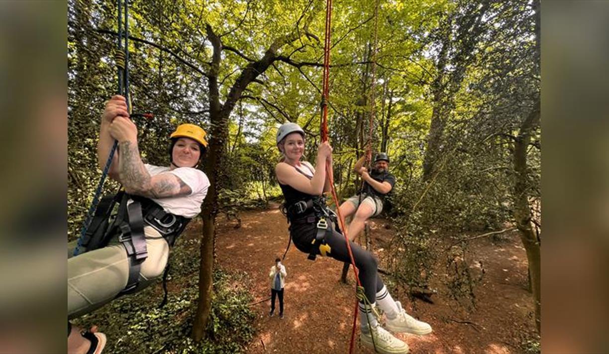 Canopy Tree Climbing