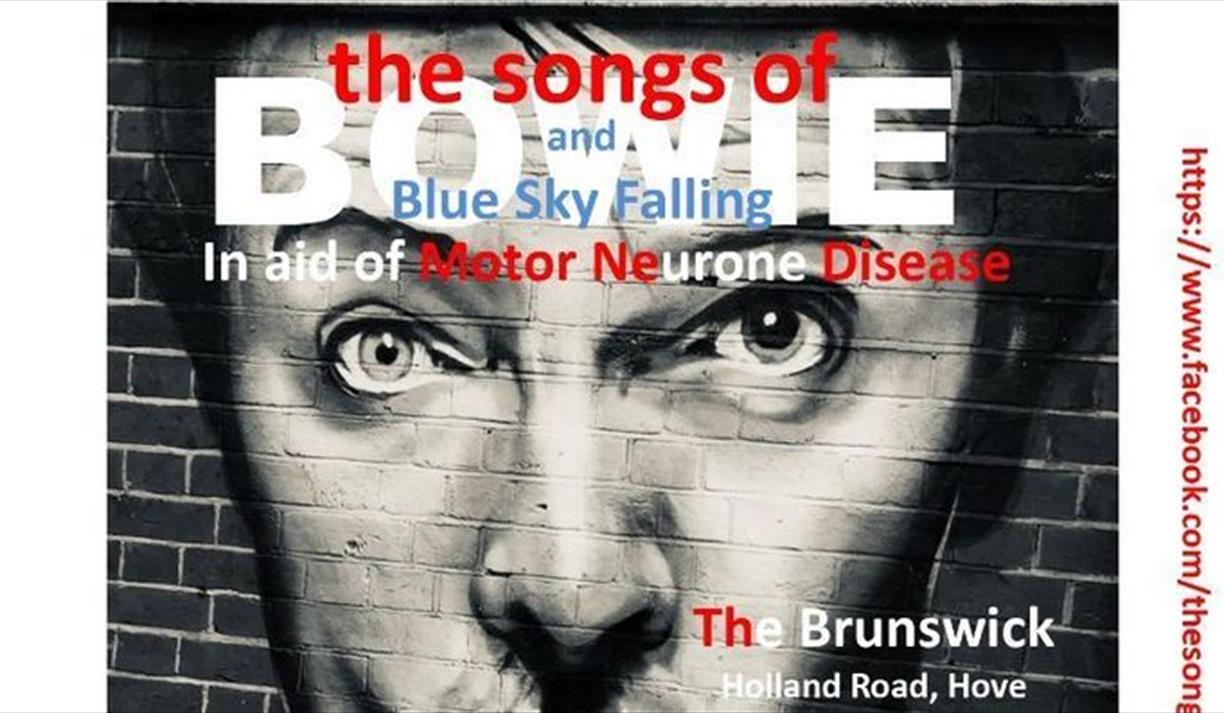 THE SONGS OF BOWIE with support BLUE SKY FALLING