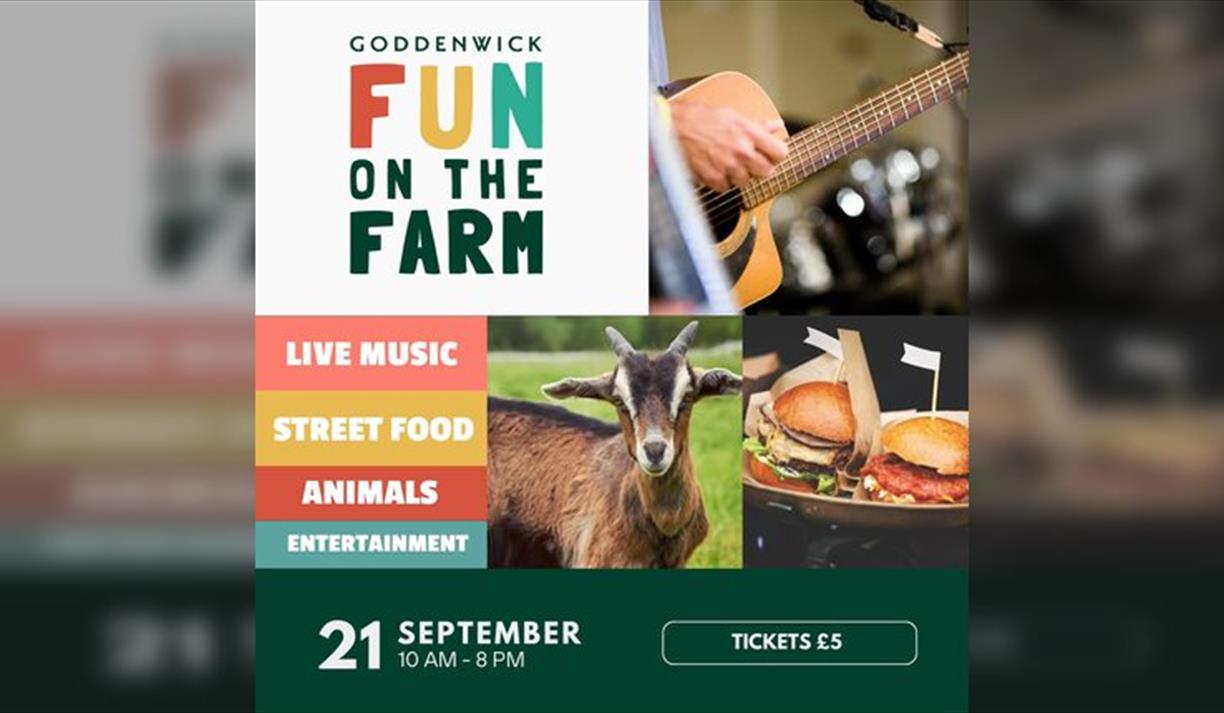 'Fun On The Farm' at Goddenwick Farm