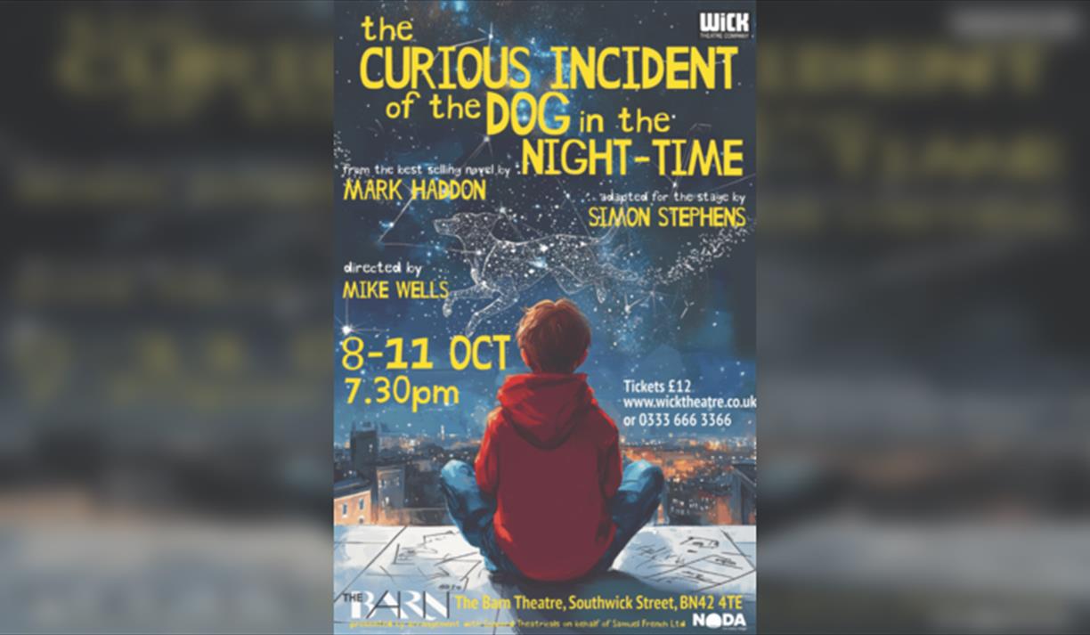 The Curious Incident of the Dog in the Night-Time
