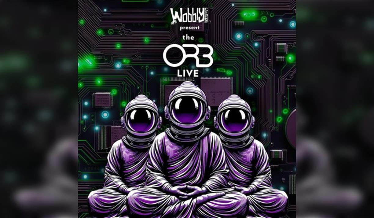 The Orb - live