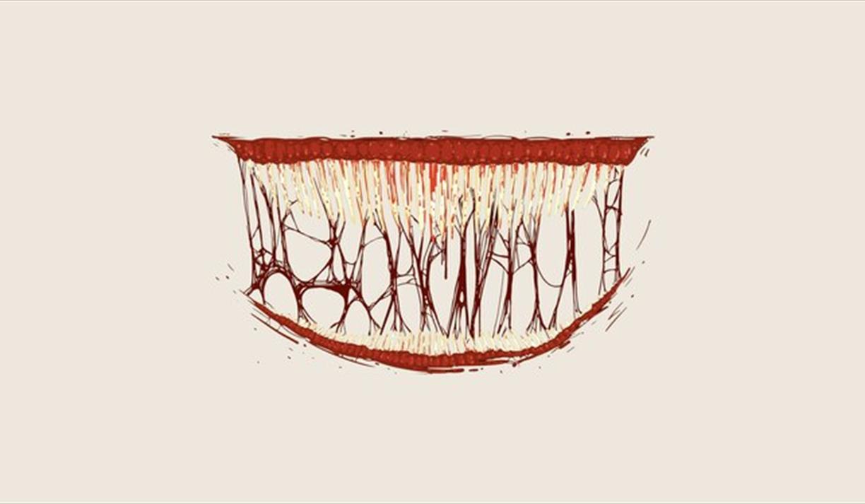 The Psychology Of Horror Movies