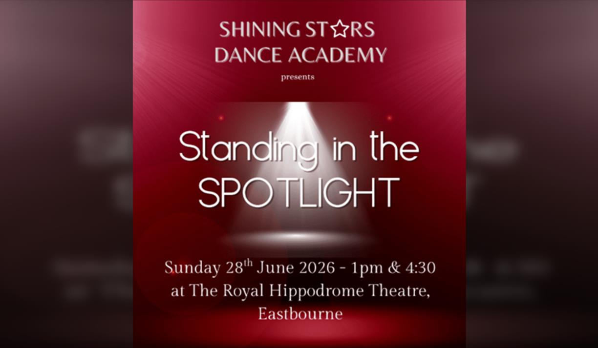 Shining Stars Dance Academy: Standing in The Spotlight