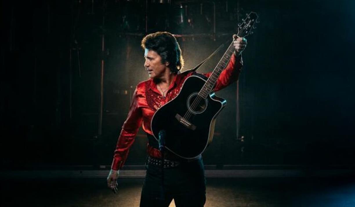 A Beautiful Noise Show: The Definitive Tribute to Neil Diamond