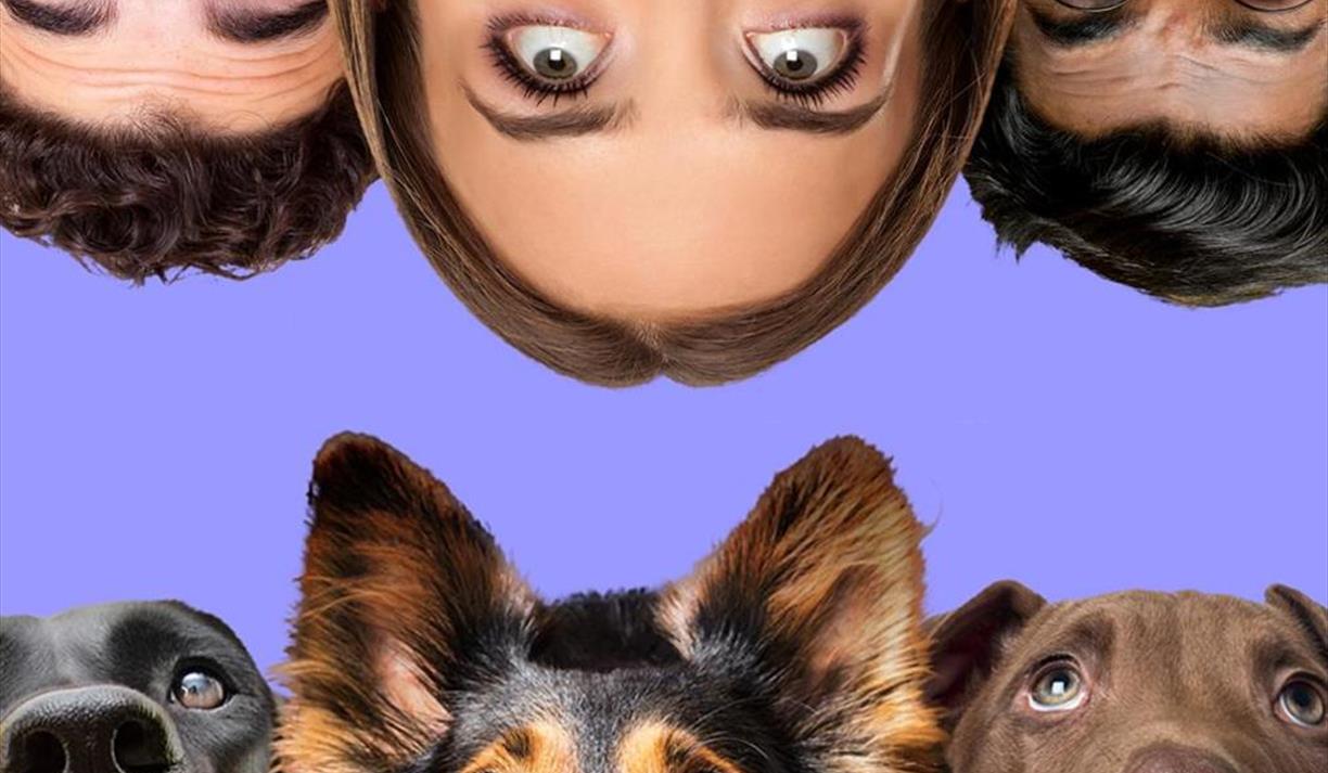 The Psychology of Dogs