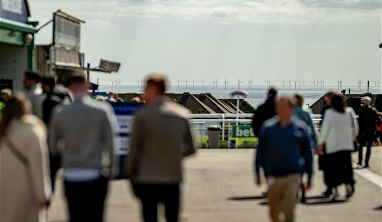 Autumn Afternoon Racing