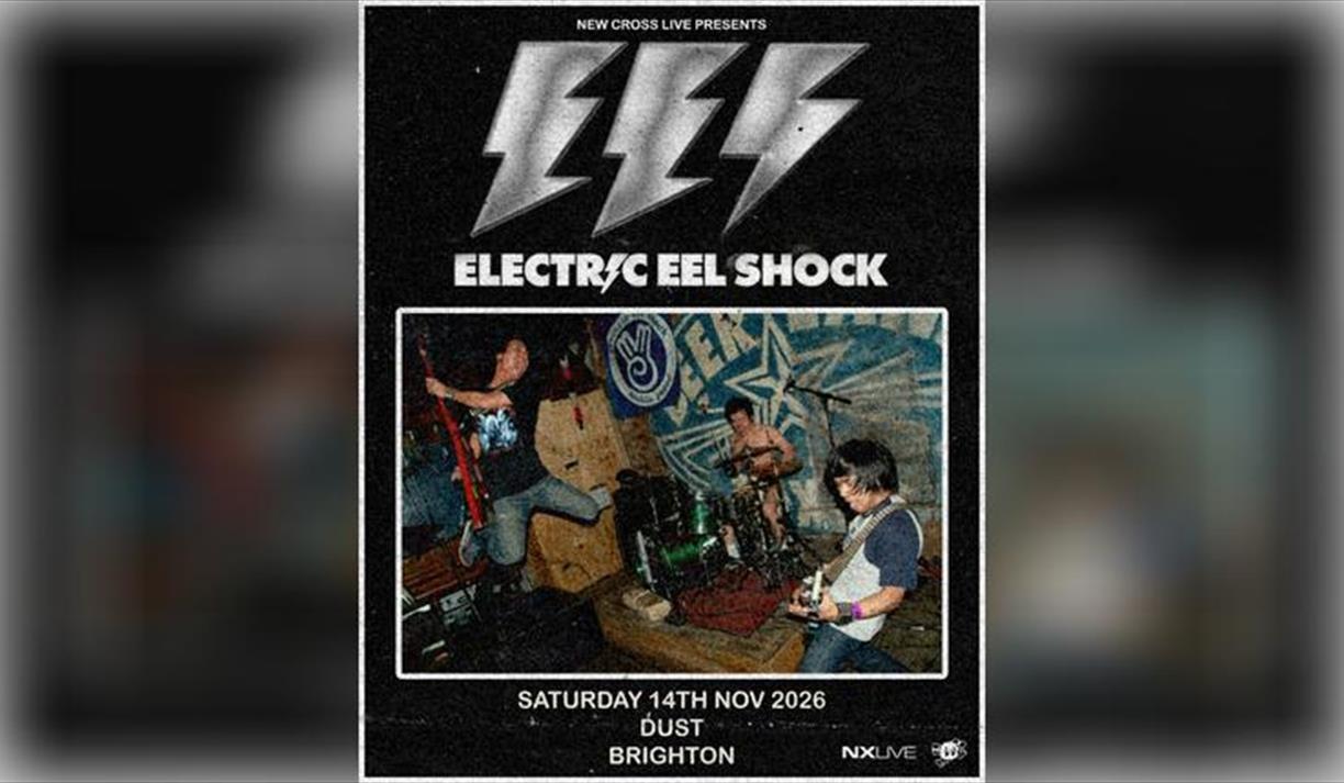 Electric Eel Shock