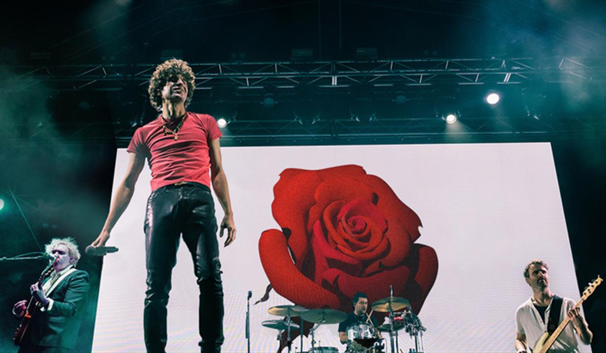 The Kooks