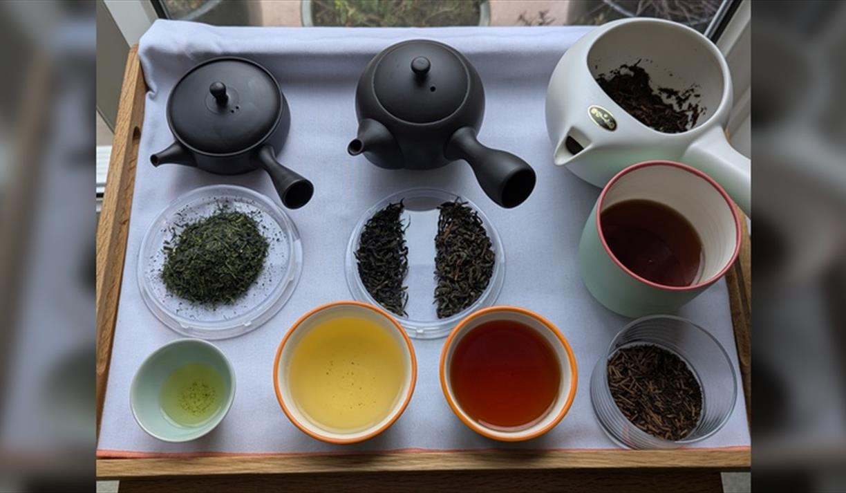 Japanese Tea Tasting: Shades of Green