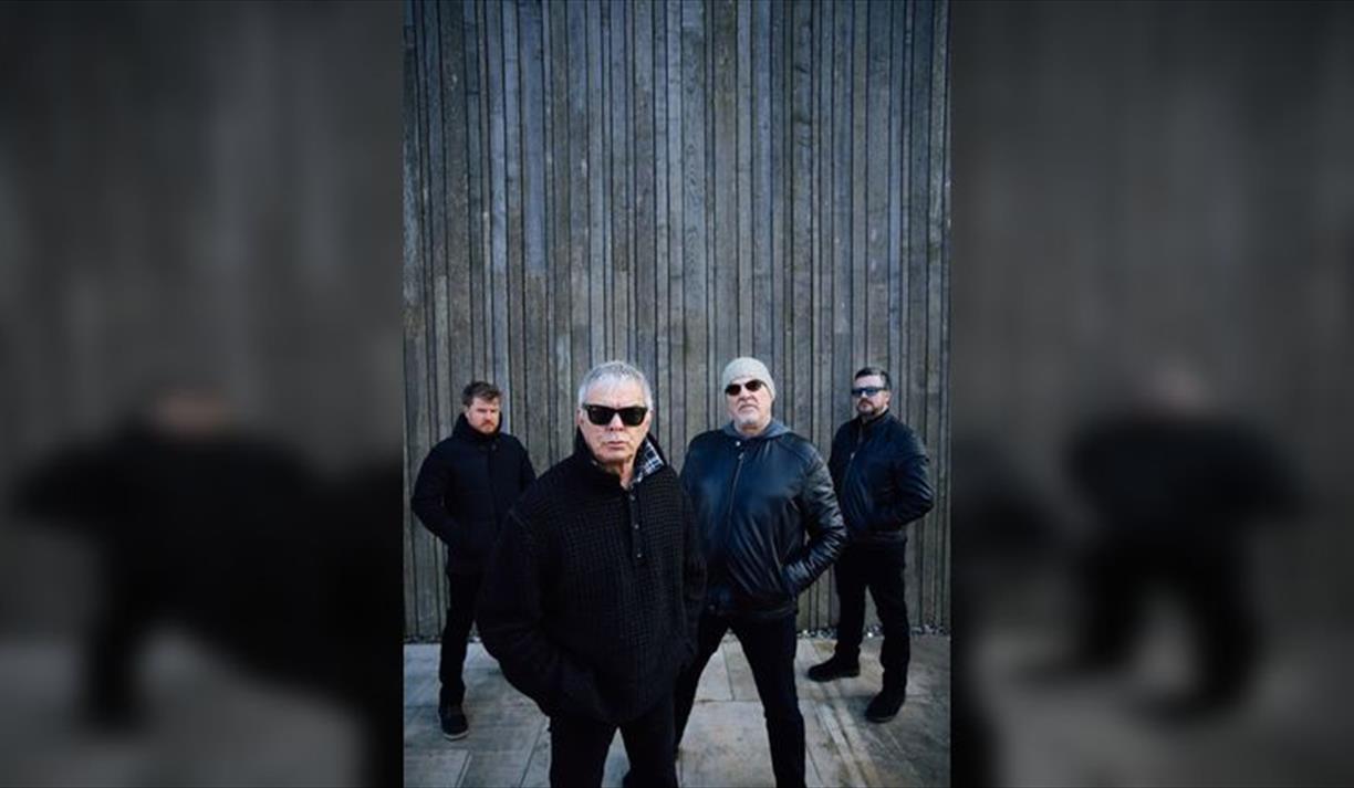 The Stranglers