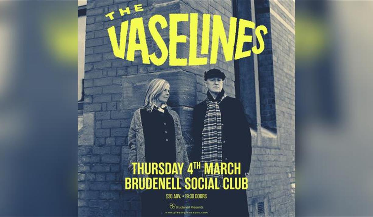 The Vaselines