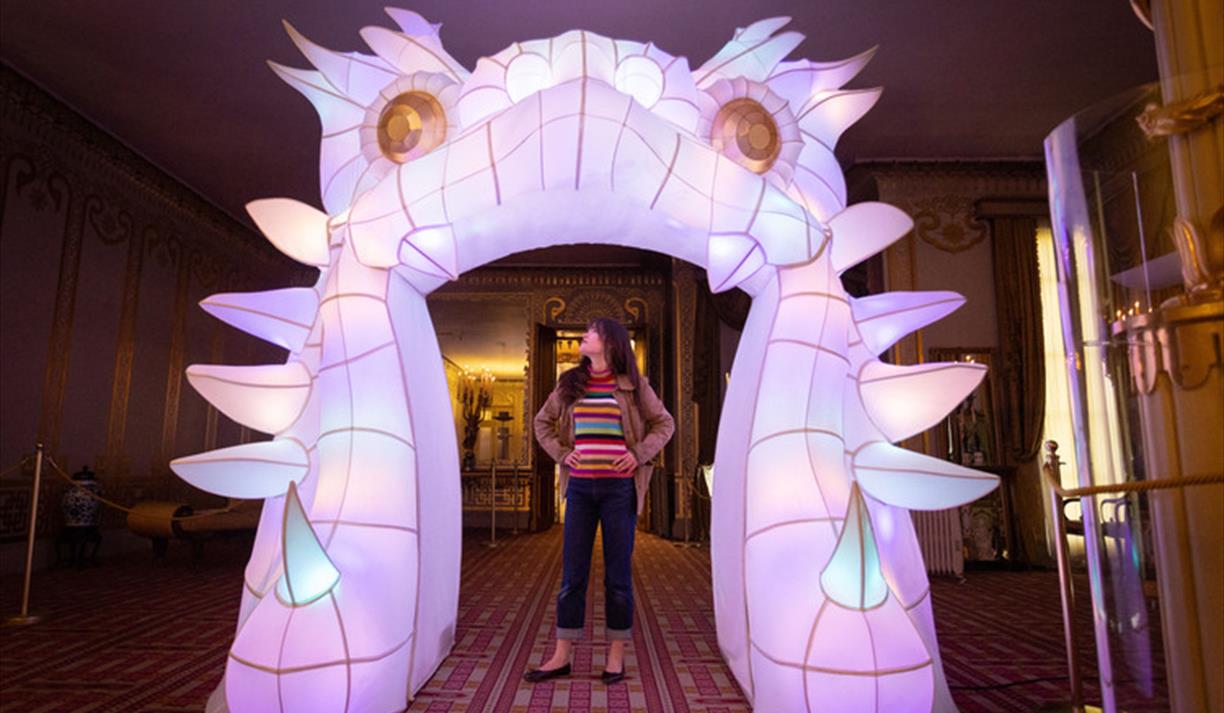 Explore the Palace of Dragons