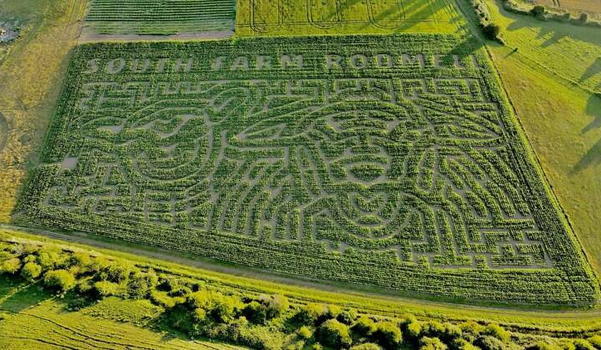 South Farm Maize Maze
